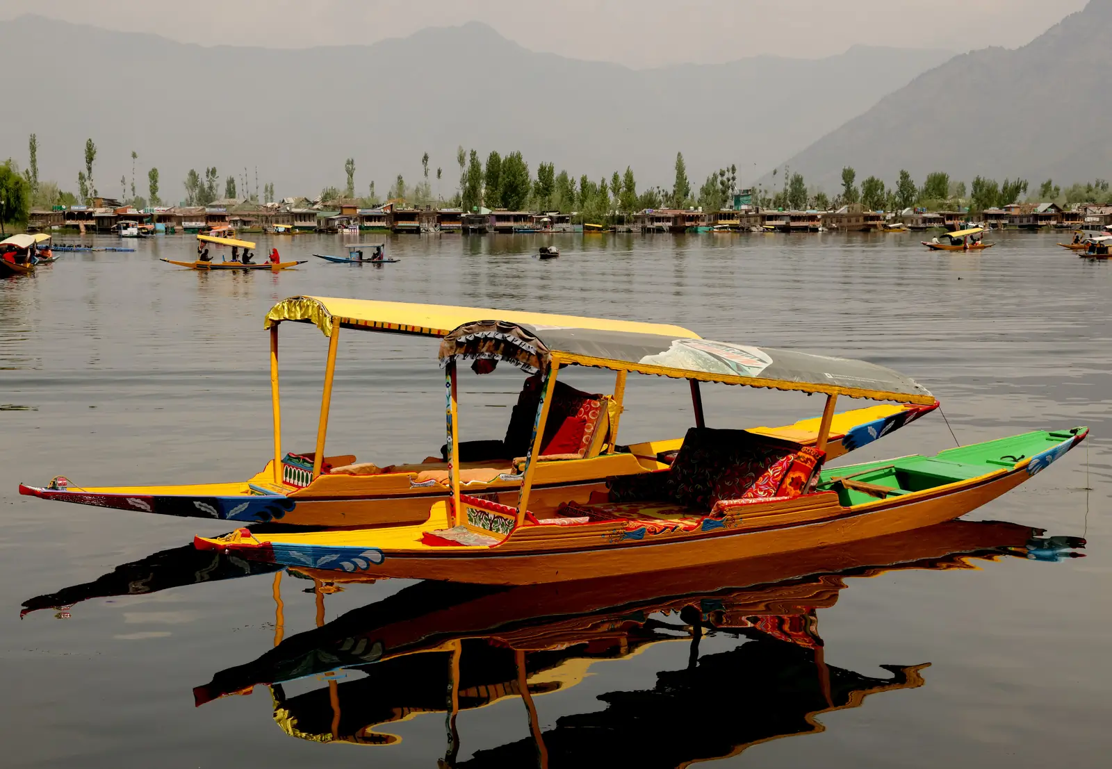Shikara boats on Dal Lake in Srinagar with the Zabarwan mountains behind